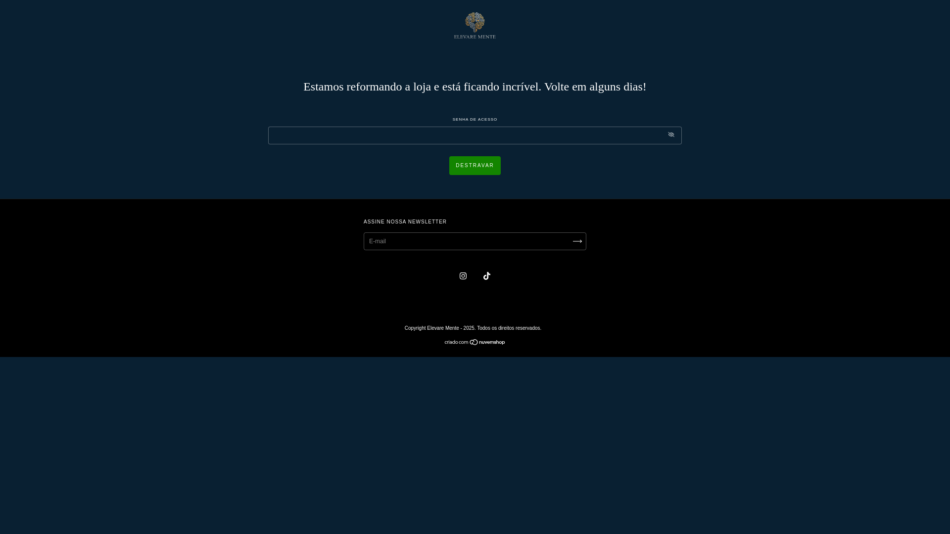 website screenshot of https://elevaremente.com.br/