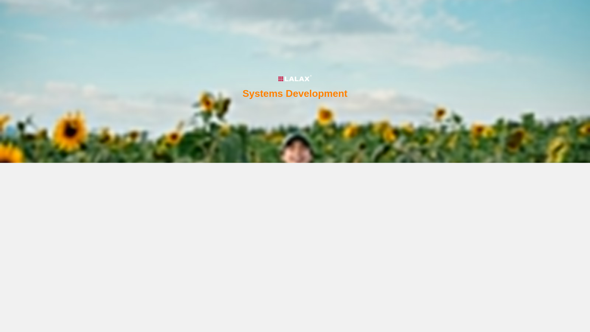 website screenshot of https://lalax.es/