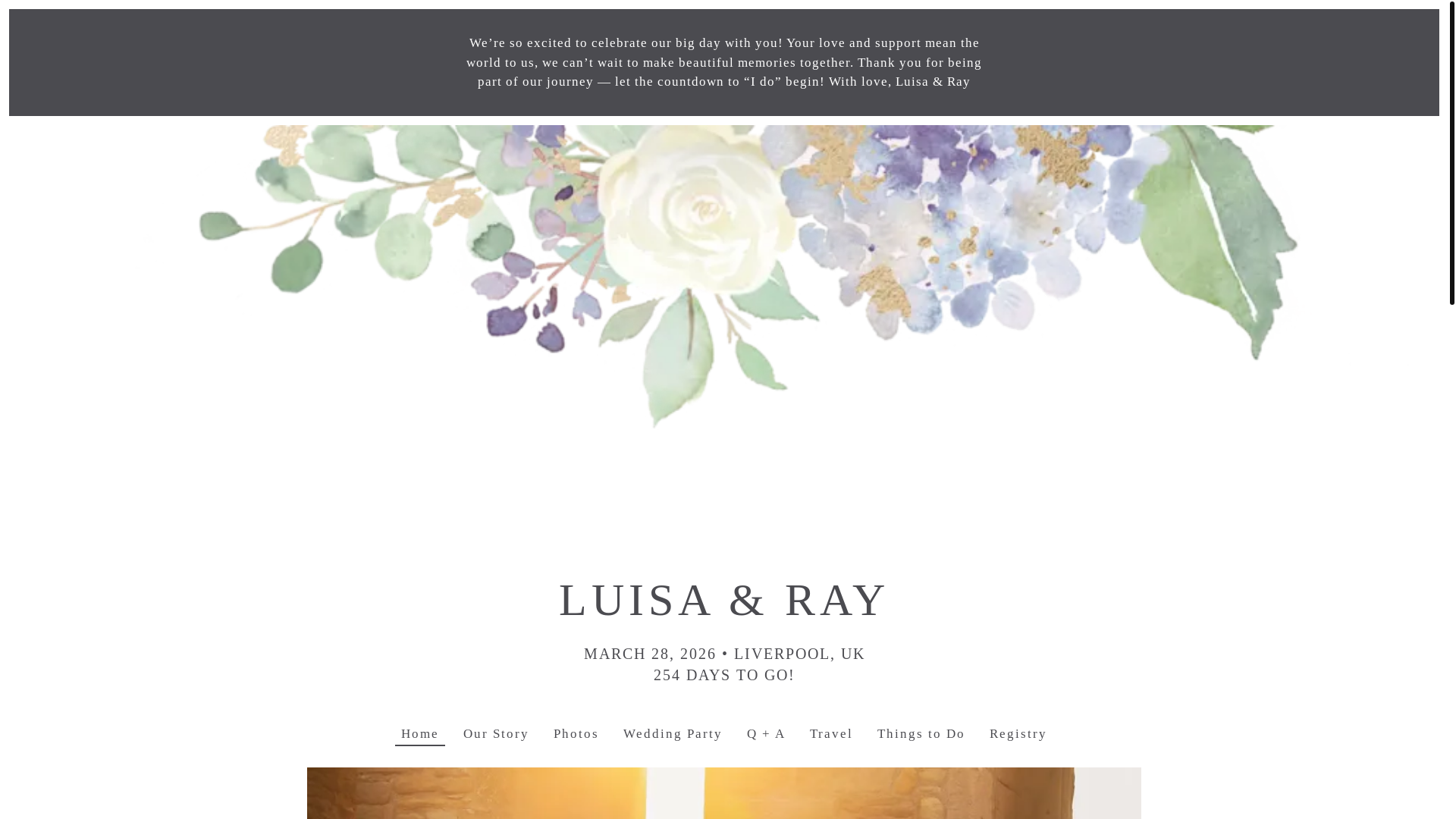 website screenshot of https://luisaandray.com/