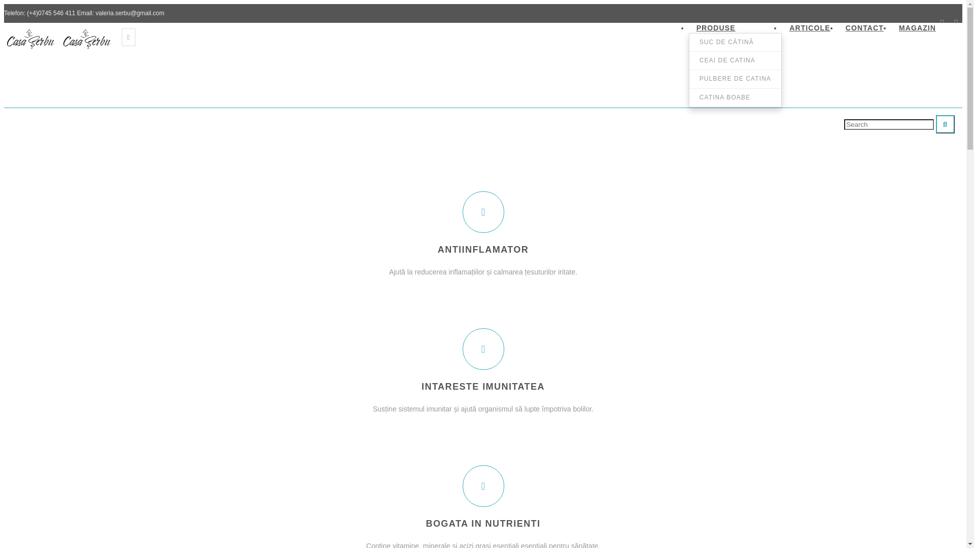 website screenshot of https://casa-serbu.pages.dev/