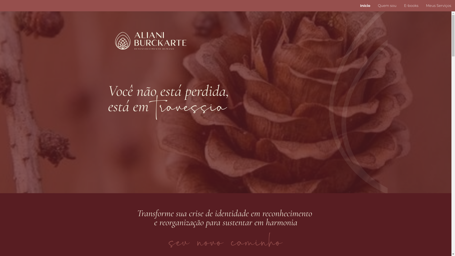 website screenshot of https://alianiburckabte.com.br/