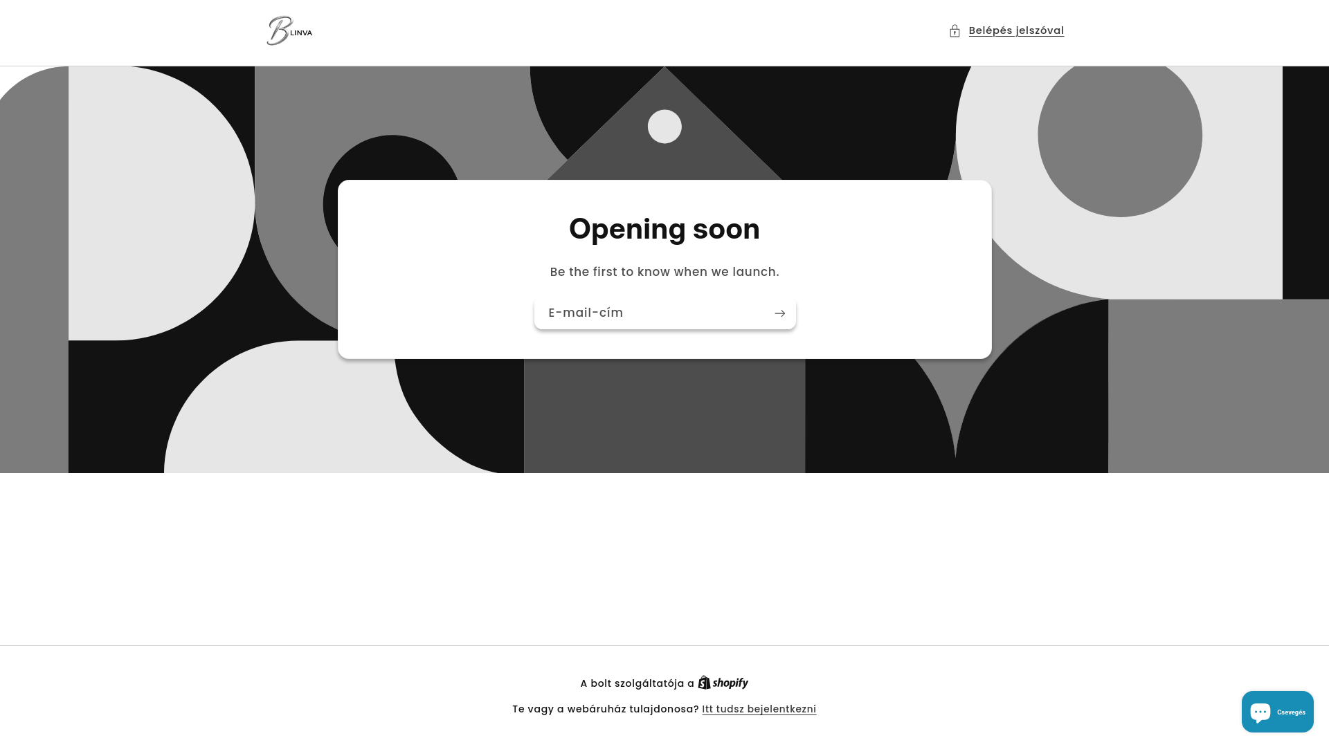 website screenshot of https://blinva.eu/