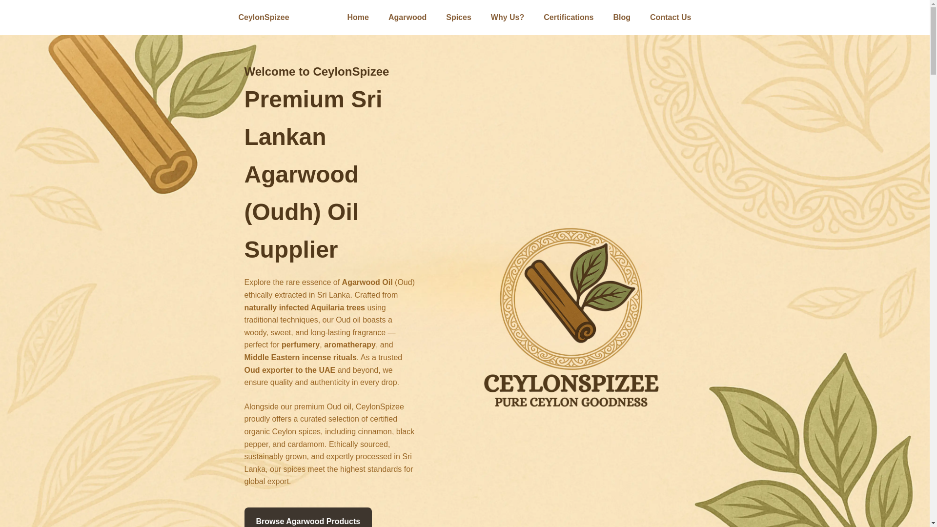 website screenshot of https://ceylonspizee-live.pages.dev/