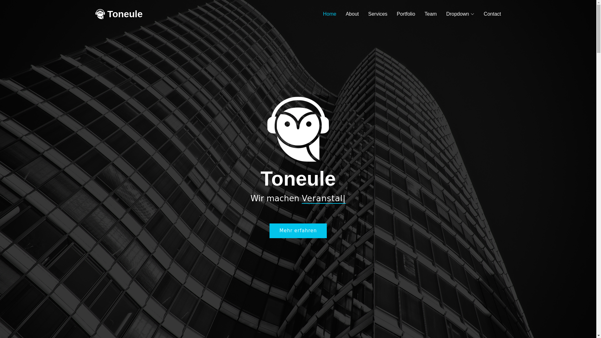 website screenshot of https://toneule.de/