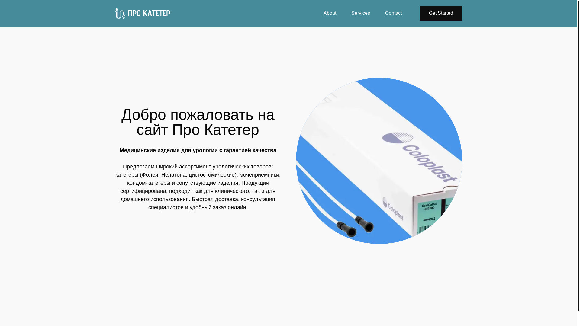 website screenshot of https://pro-kateter.ru/