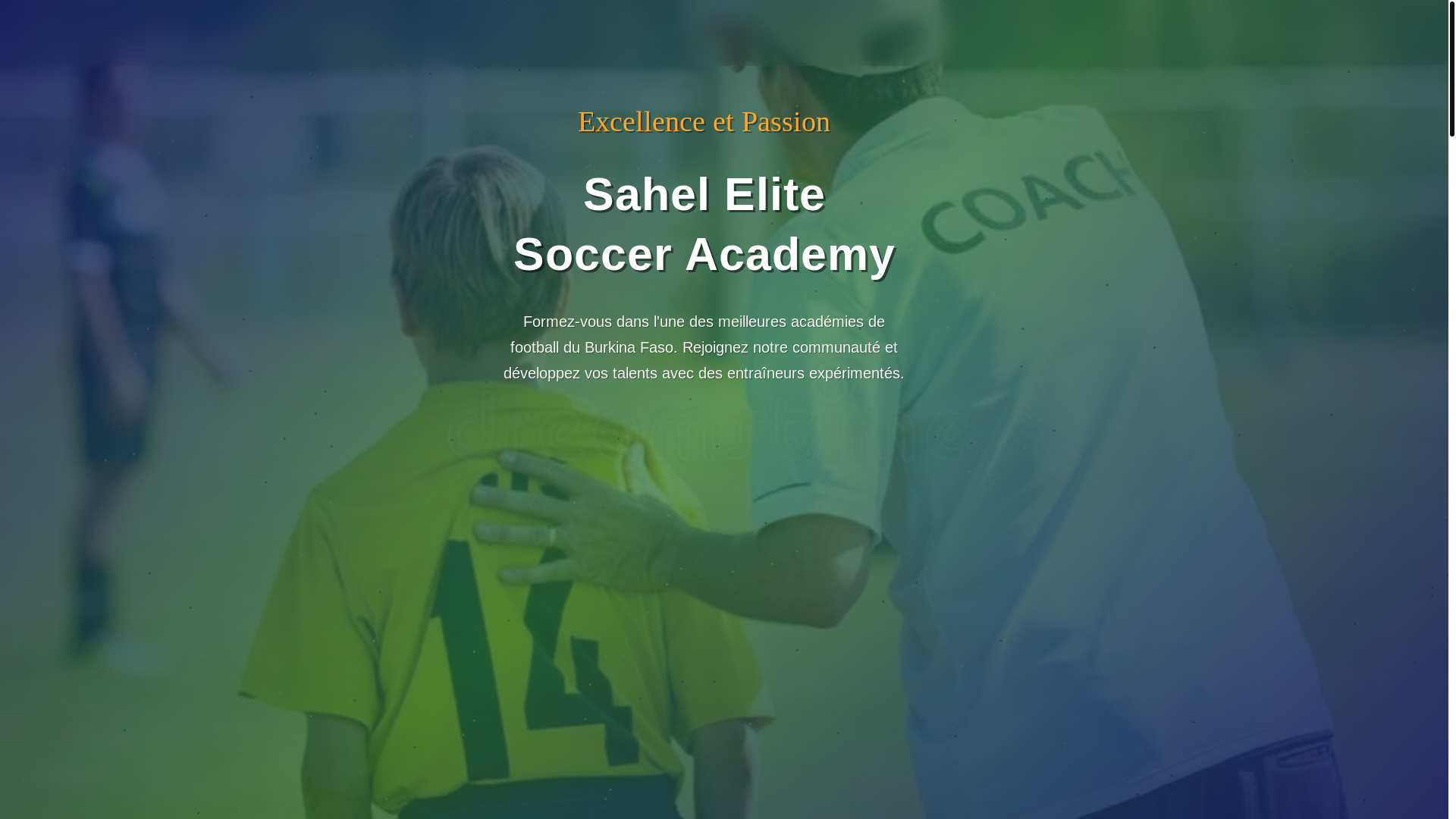 website screenshot of https://sahel-elite.com/