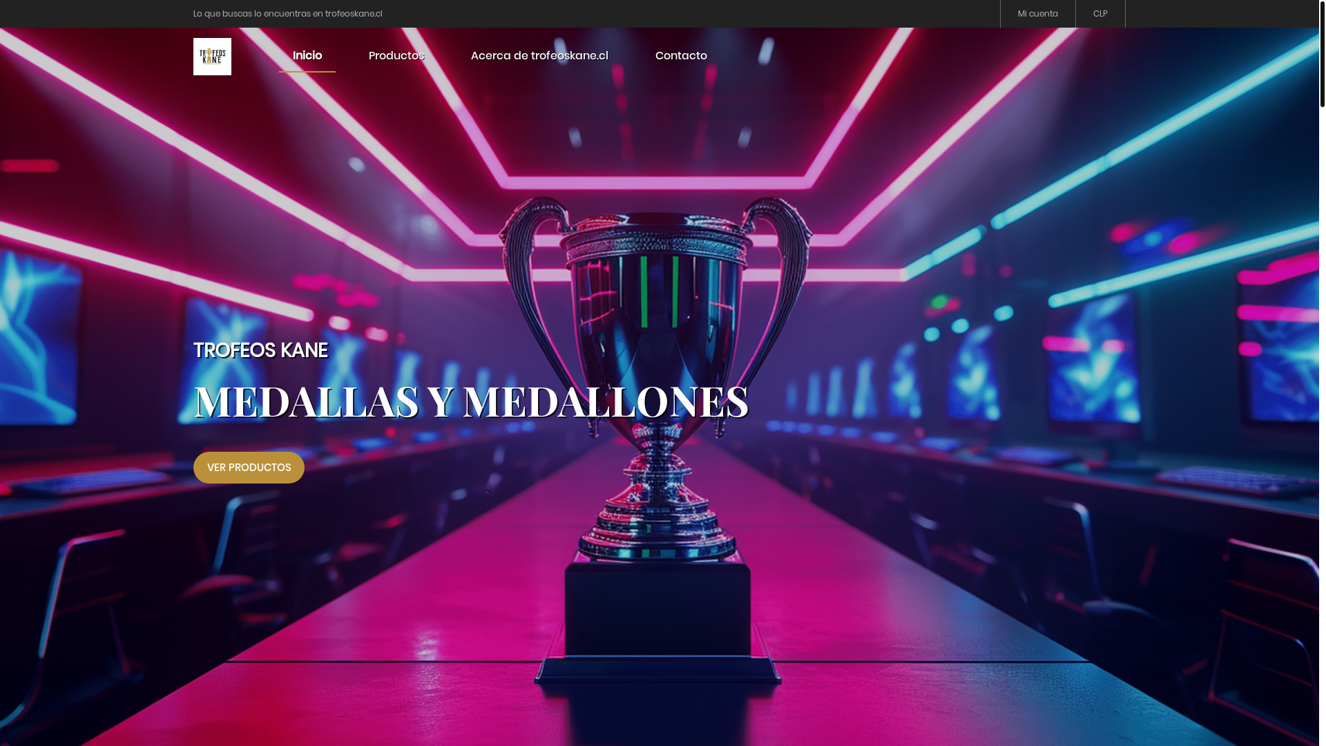website screenshot of https://trofeoskane.cl/