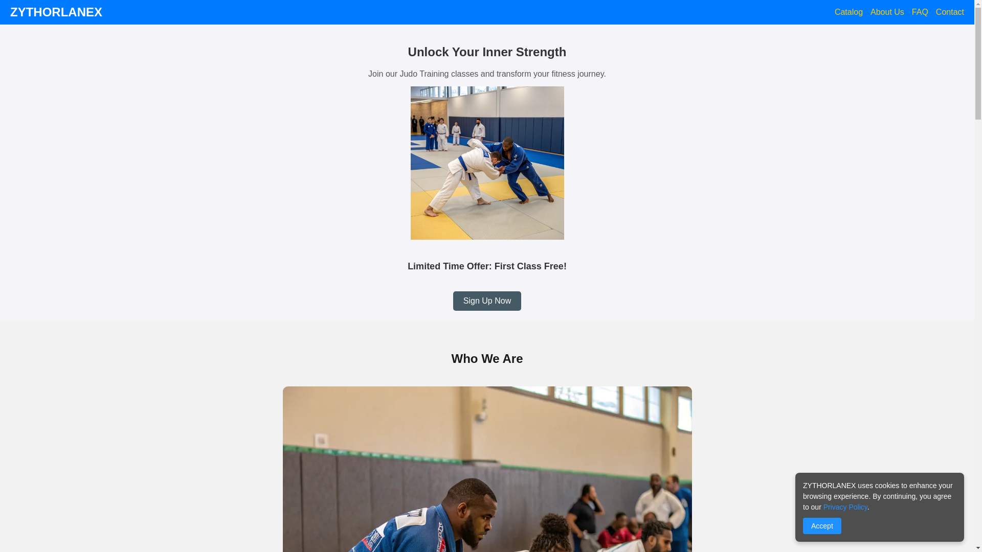 website screenshot of https://zythorlanex.com/