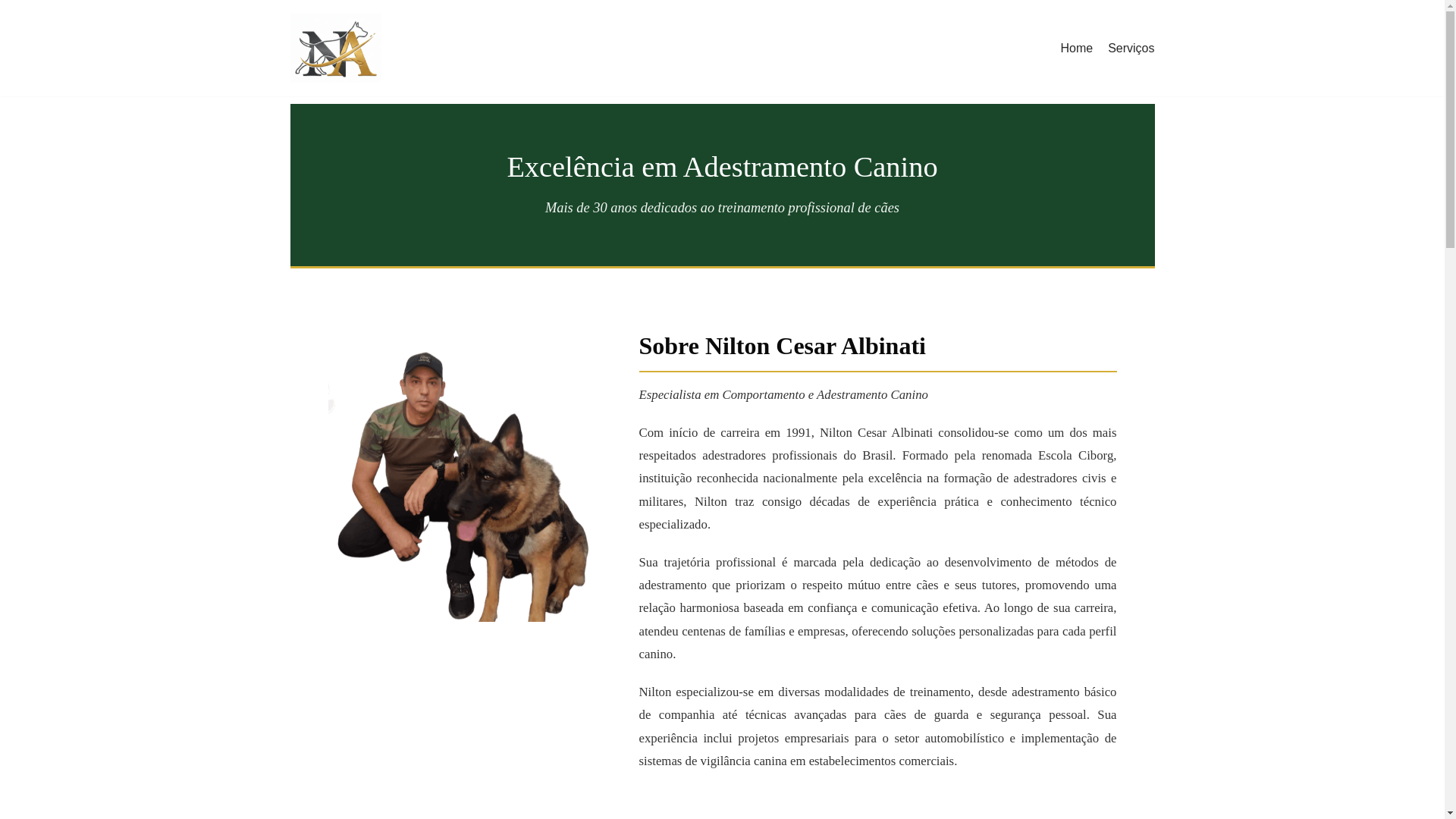 website screenshot of https://niltoncesaralbinati.com.br/