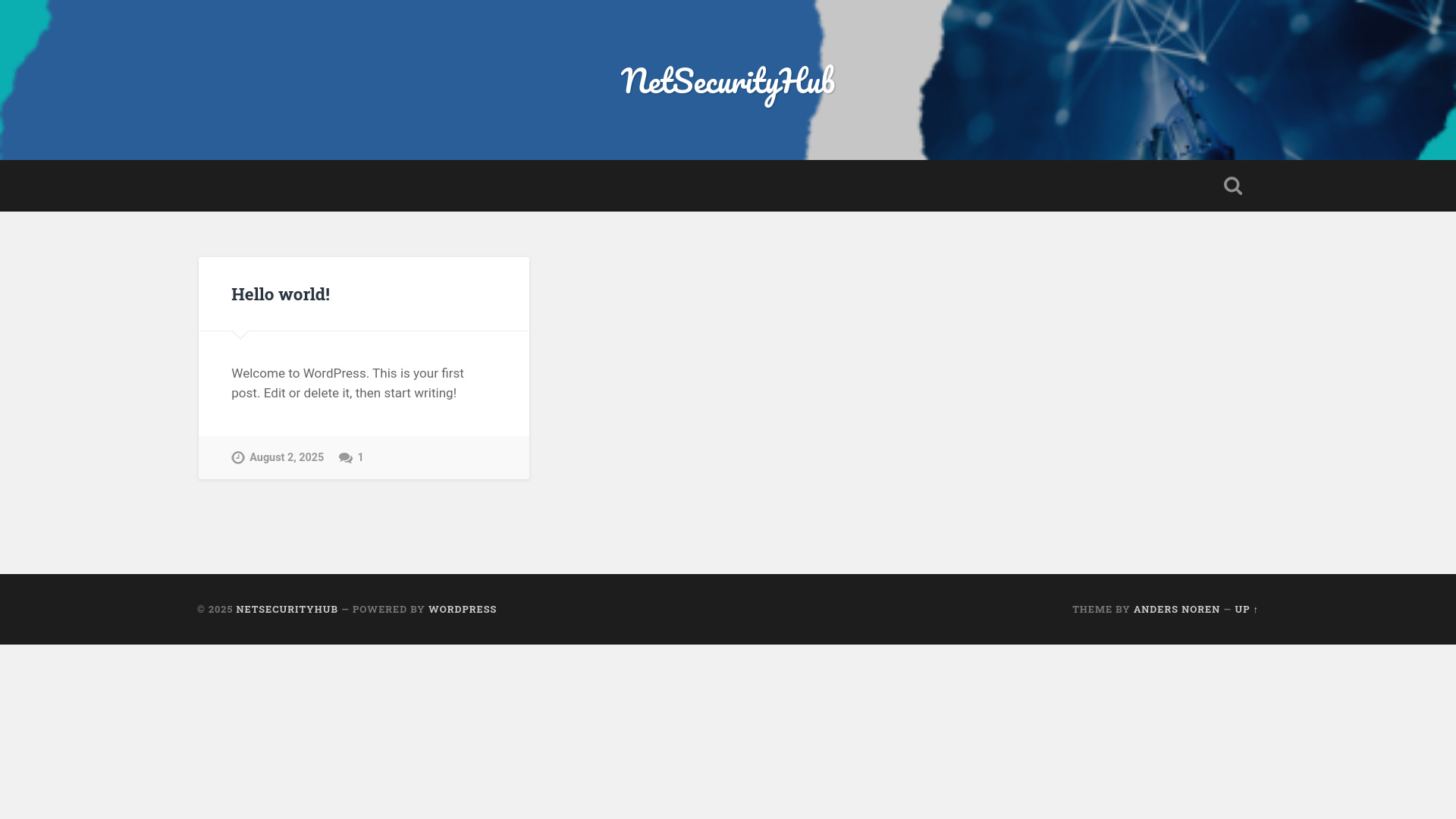 website screenshot of https://netsecurityhub.info/