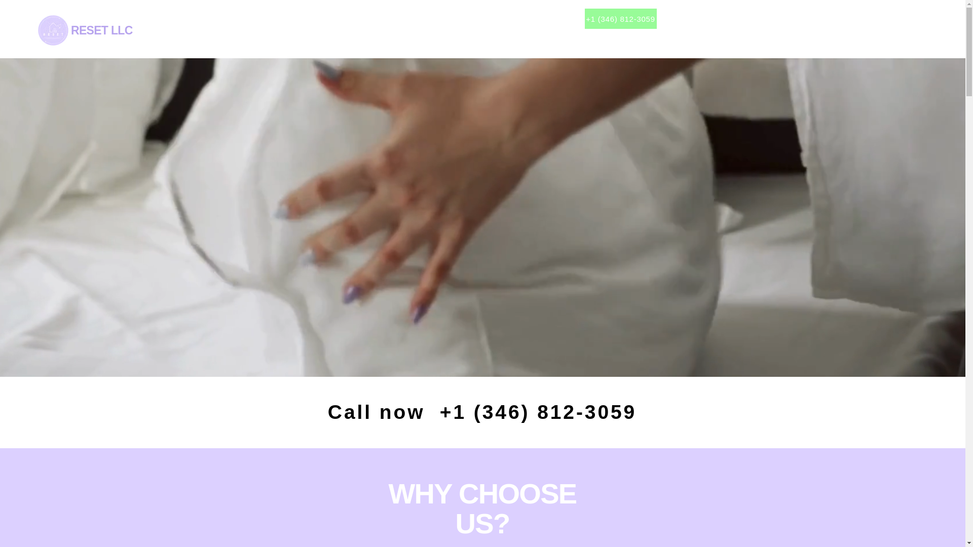 website screenshot of https://resetprofessionalservices.com/