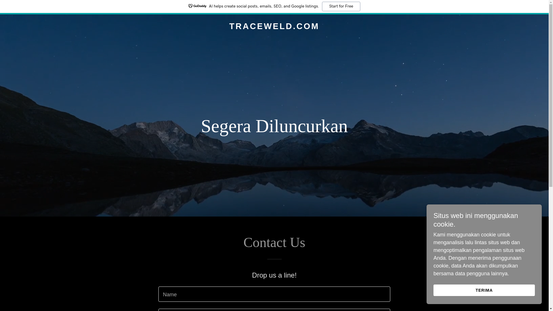 website screenshot of https://traceweld.com/