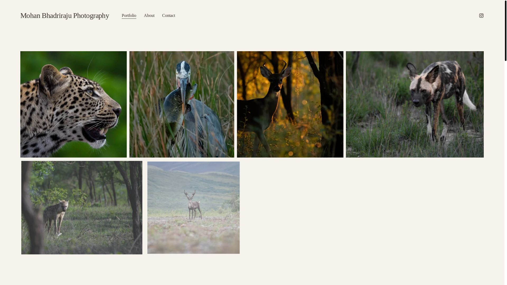 website screenshot of https://mbhadphotos.com/