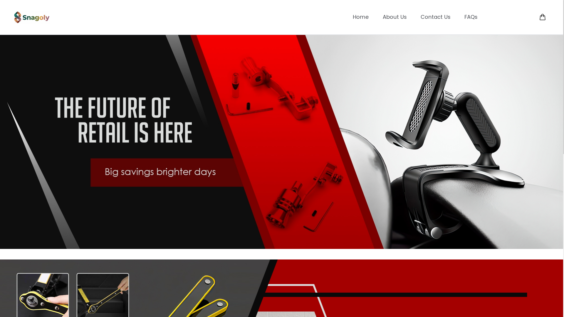 website screenshot of https://snagoly.com/