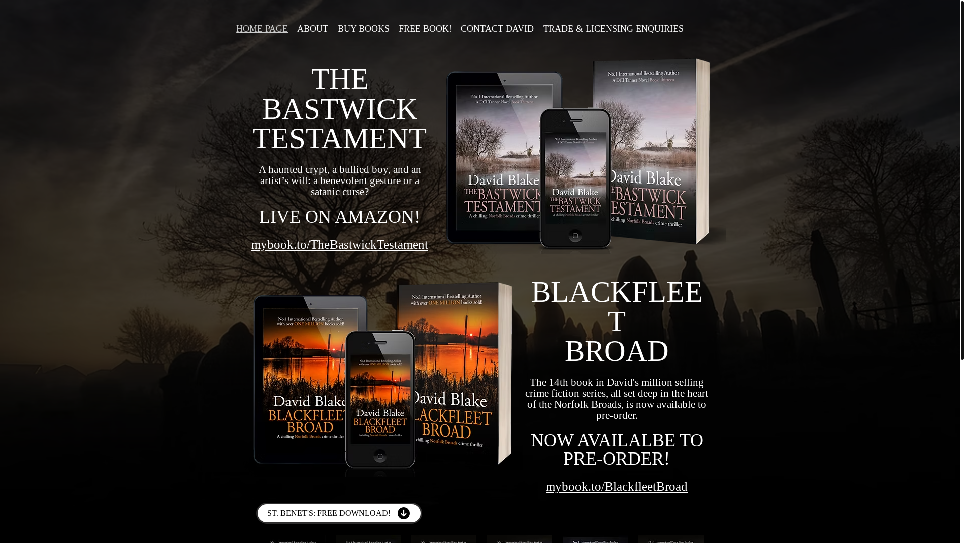 website screenshot of https://david-blake.co.uk/