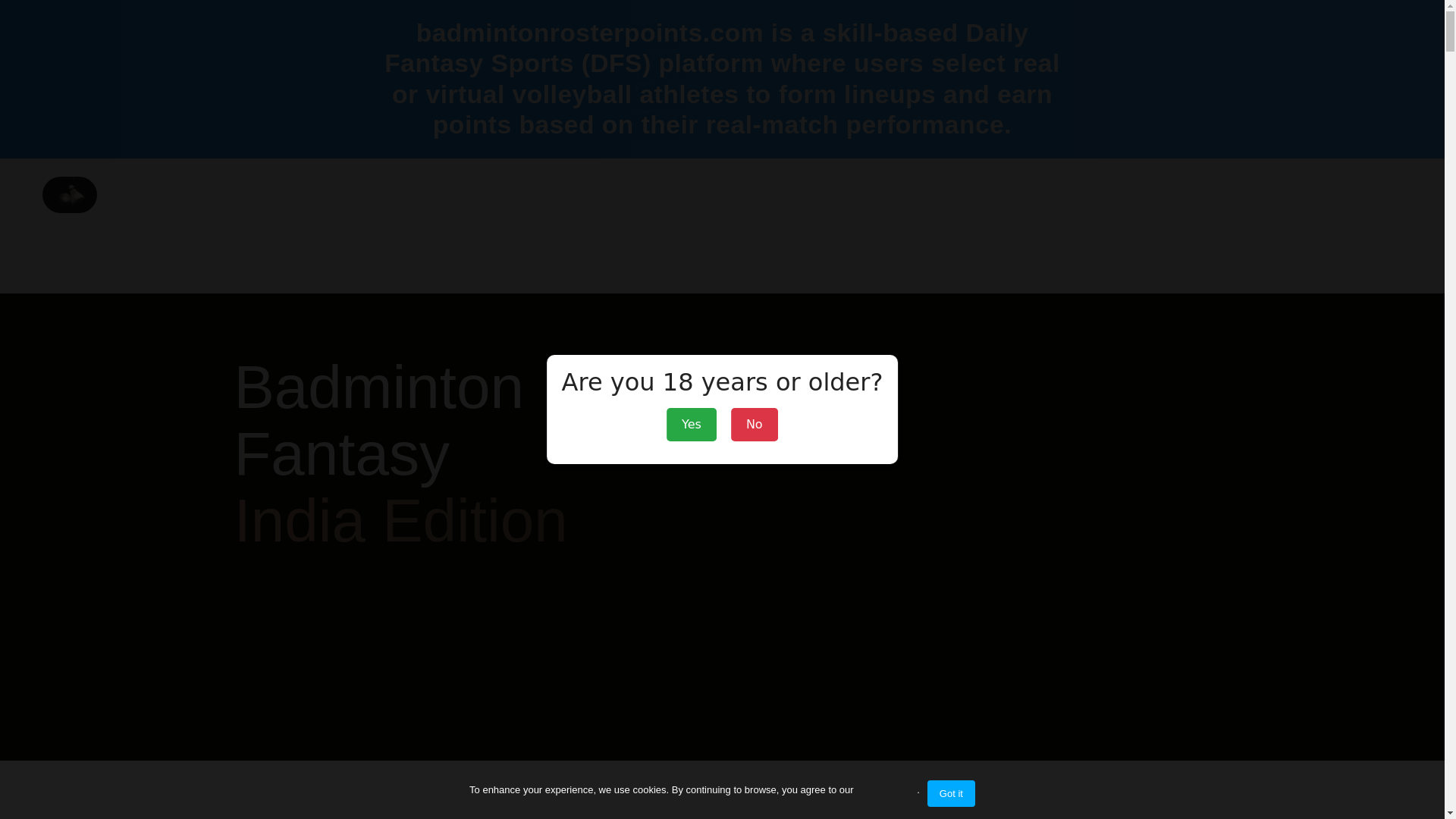 website screenshot of https://badmintonrosterpoints.com/