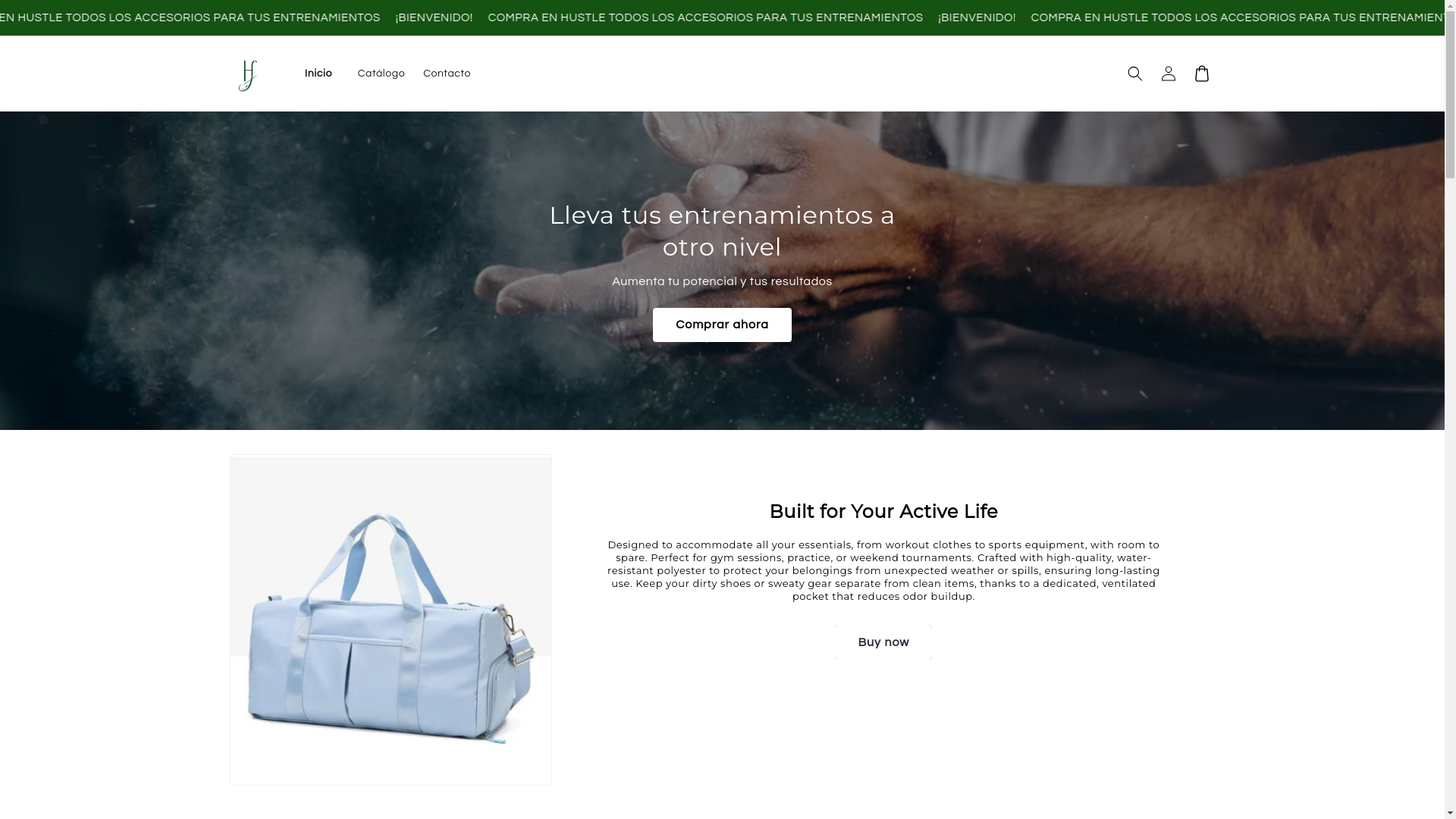 website screenshot of https://hustlemovement.store/