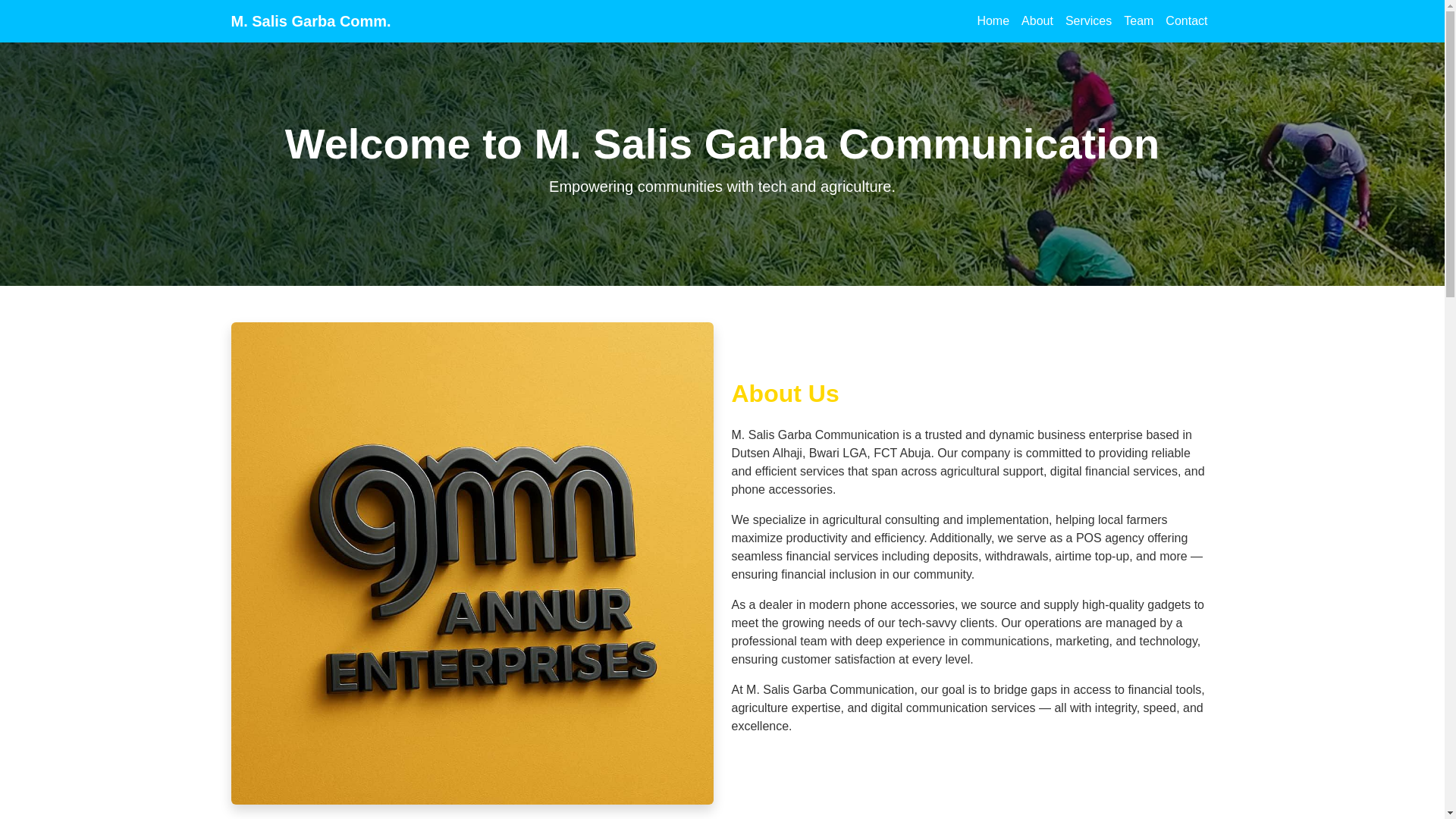 website screenshot of https://msaliscommunication.com.ng/