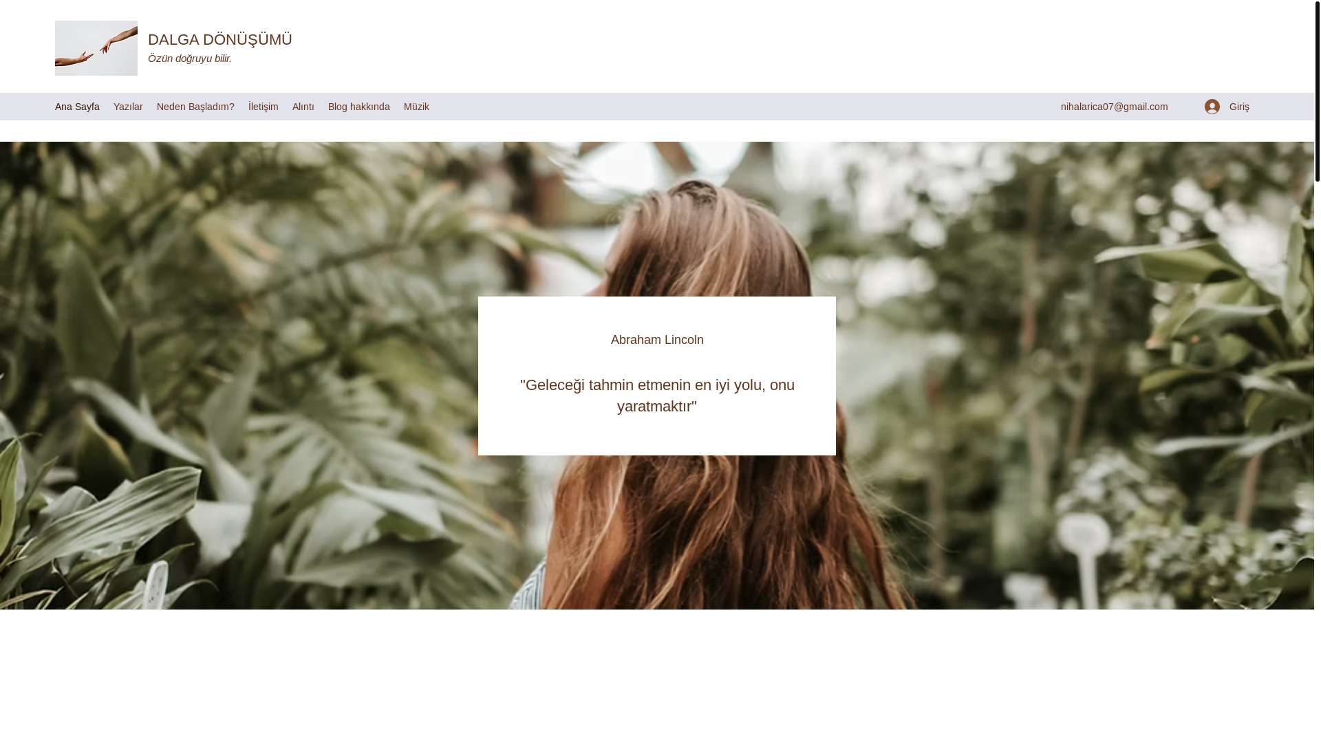 website screenshot of https://xn--dalgadnsm-57a1ebb.com/