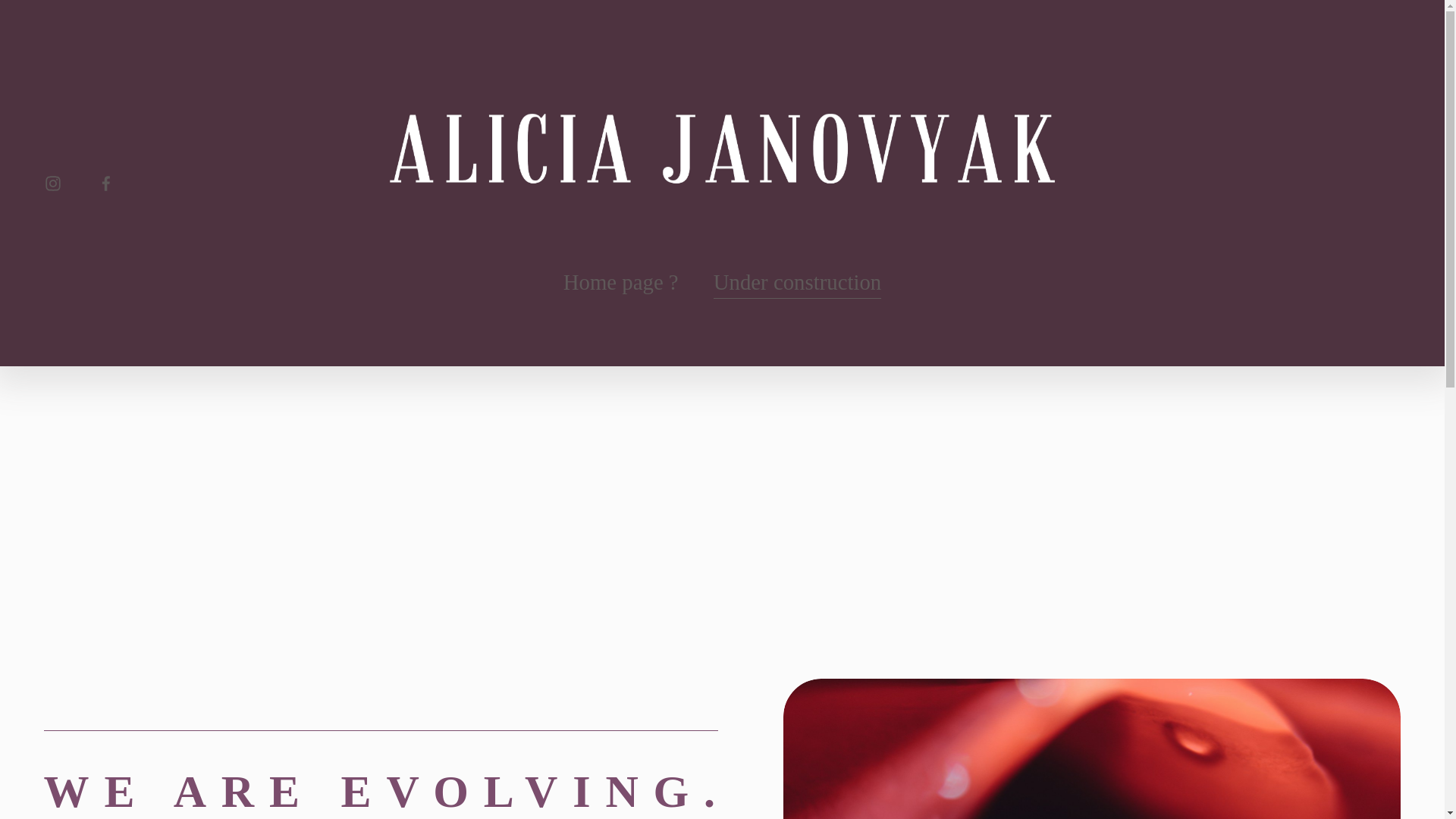 website screenshot of https://aliciajanovyak.com/