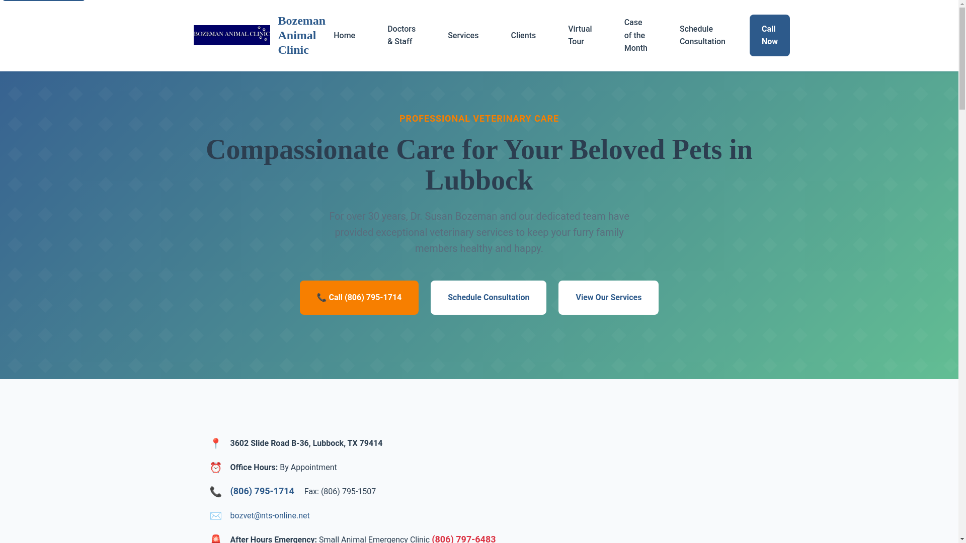 website screenshot of https://test4-rz4.pages.dev/