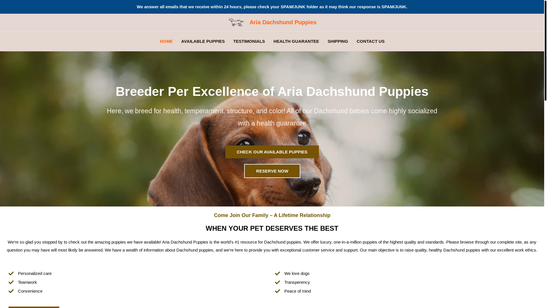 website screenshot of https://ariadachshundpuppies.com/