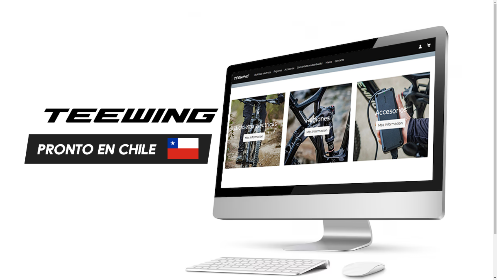 website screenshot of https://teewingchile.cl/
