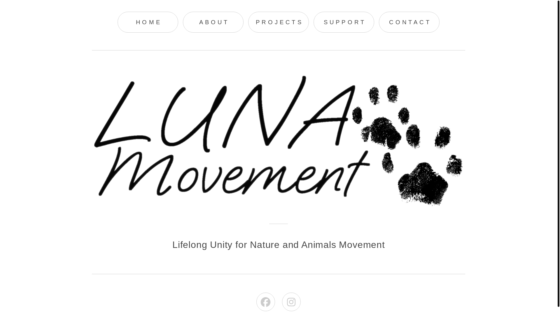 website screenshot of https://lunamovement.org/