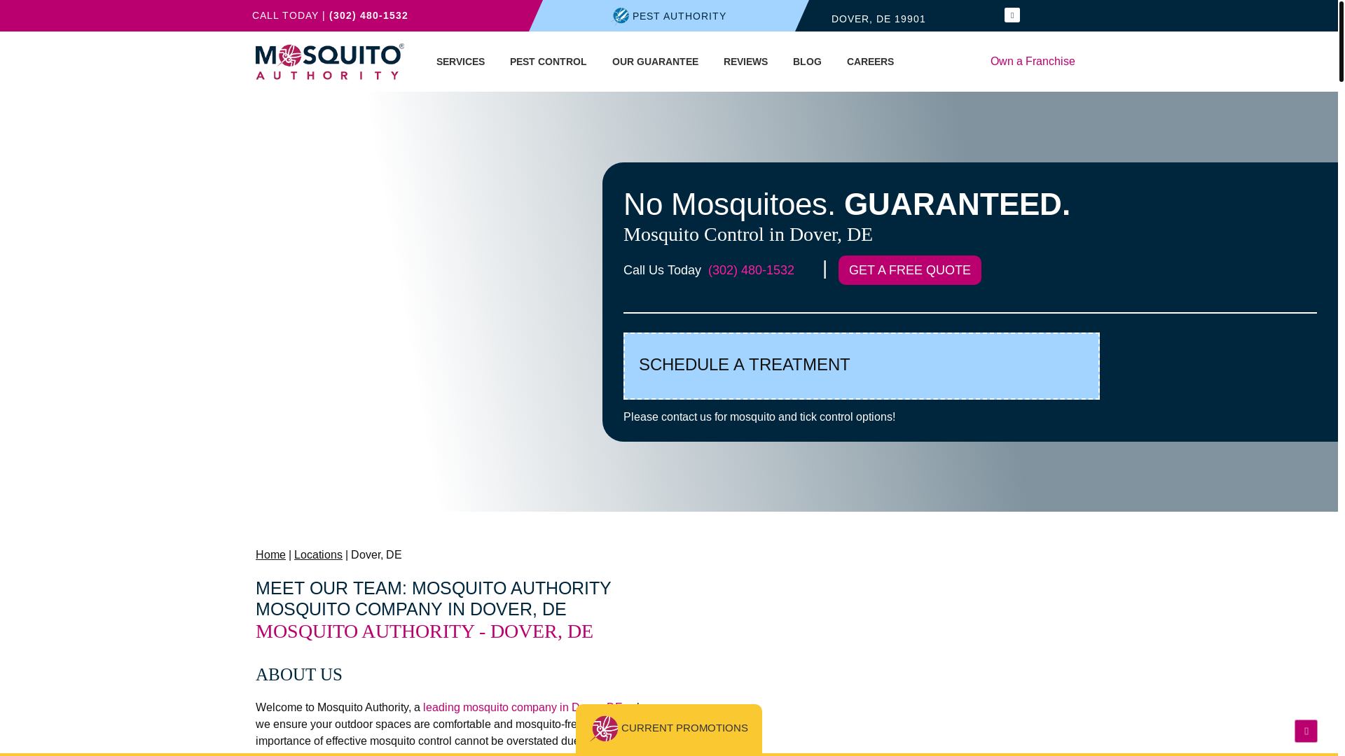 website screenshot of https://mosquitomatt.com/