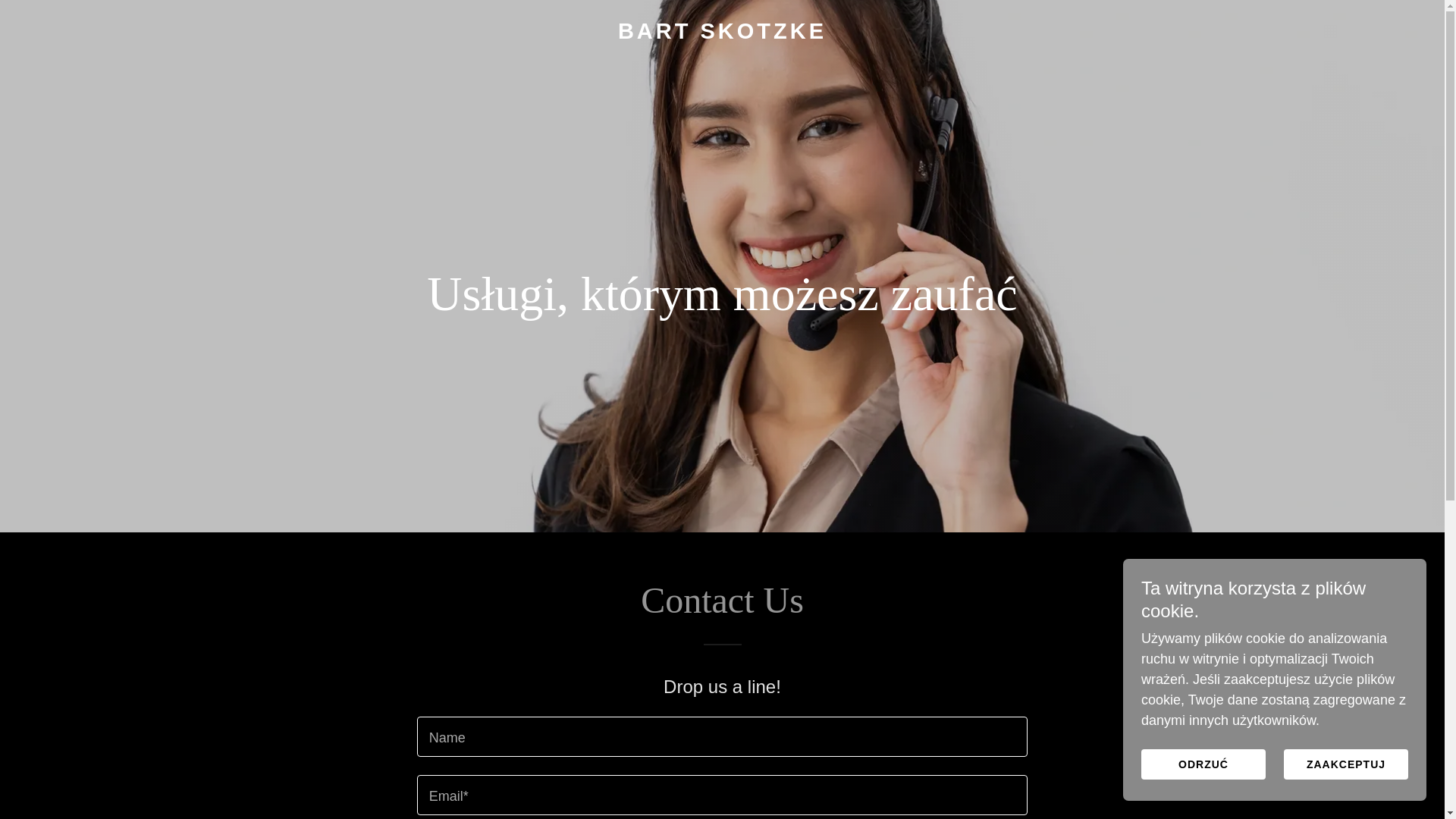 website screenshot of https://bartskotzke.com/