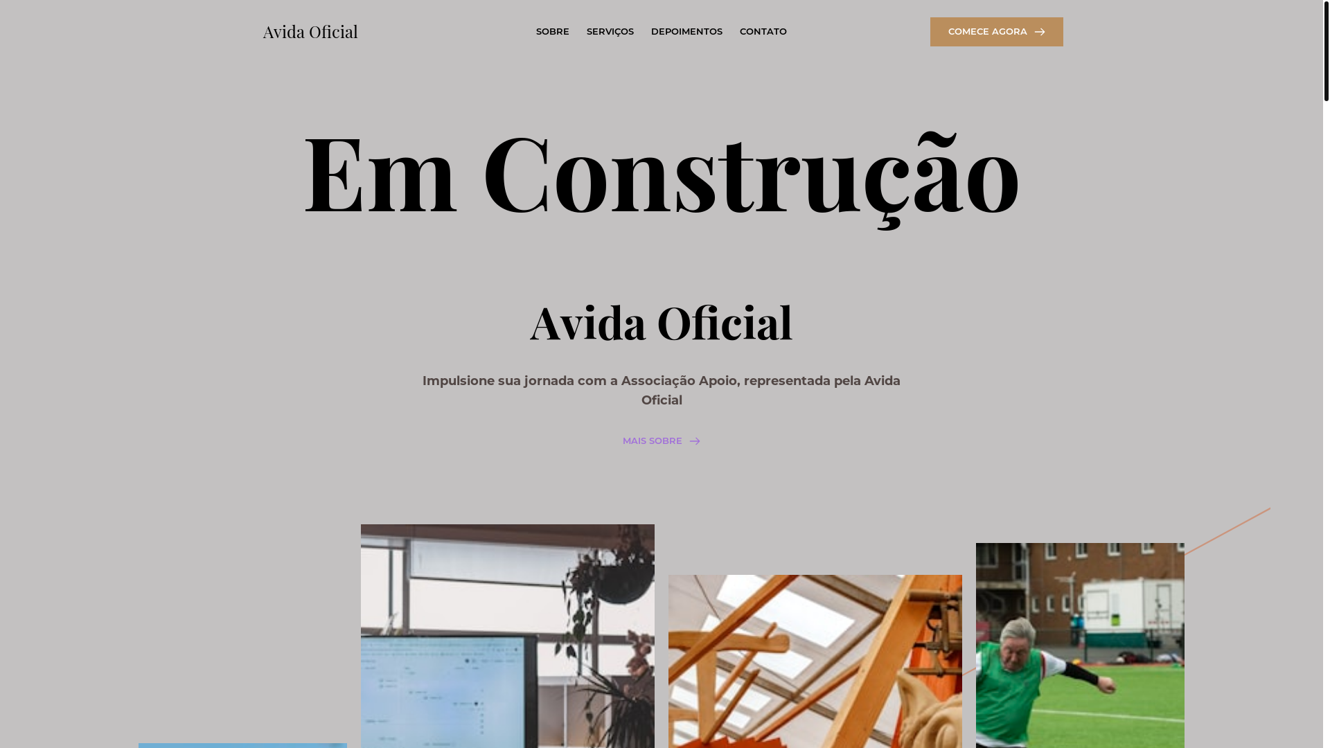 website screenshot of https://avidaoficial.org/