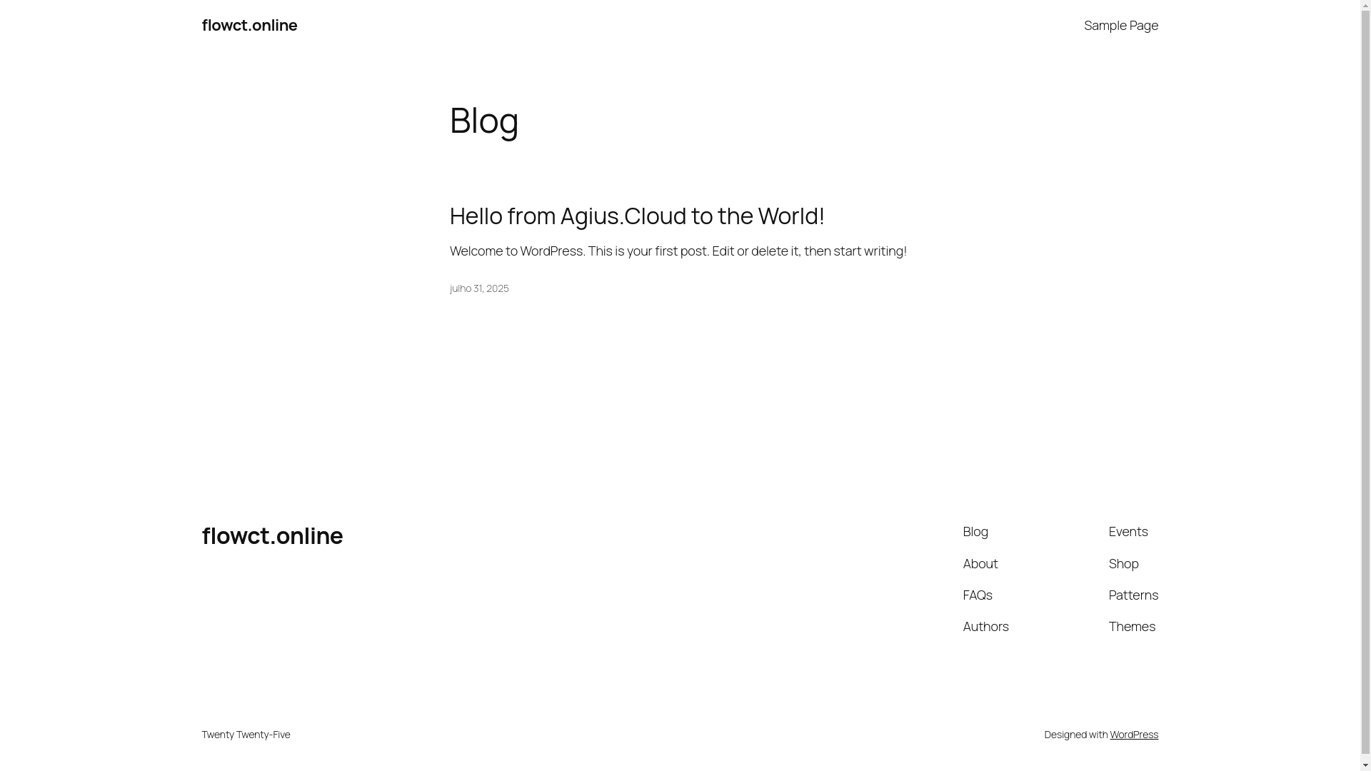 website screenshot of https://flowct.online/