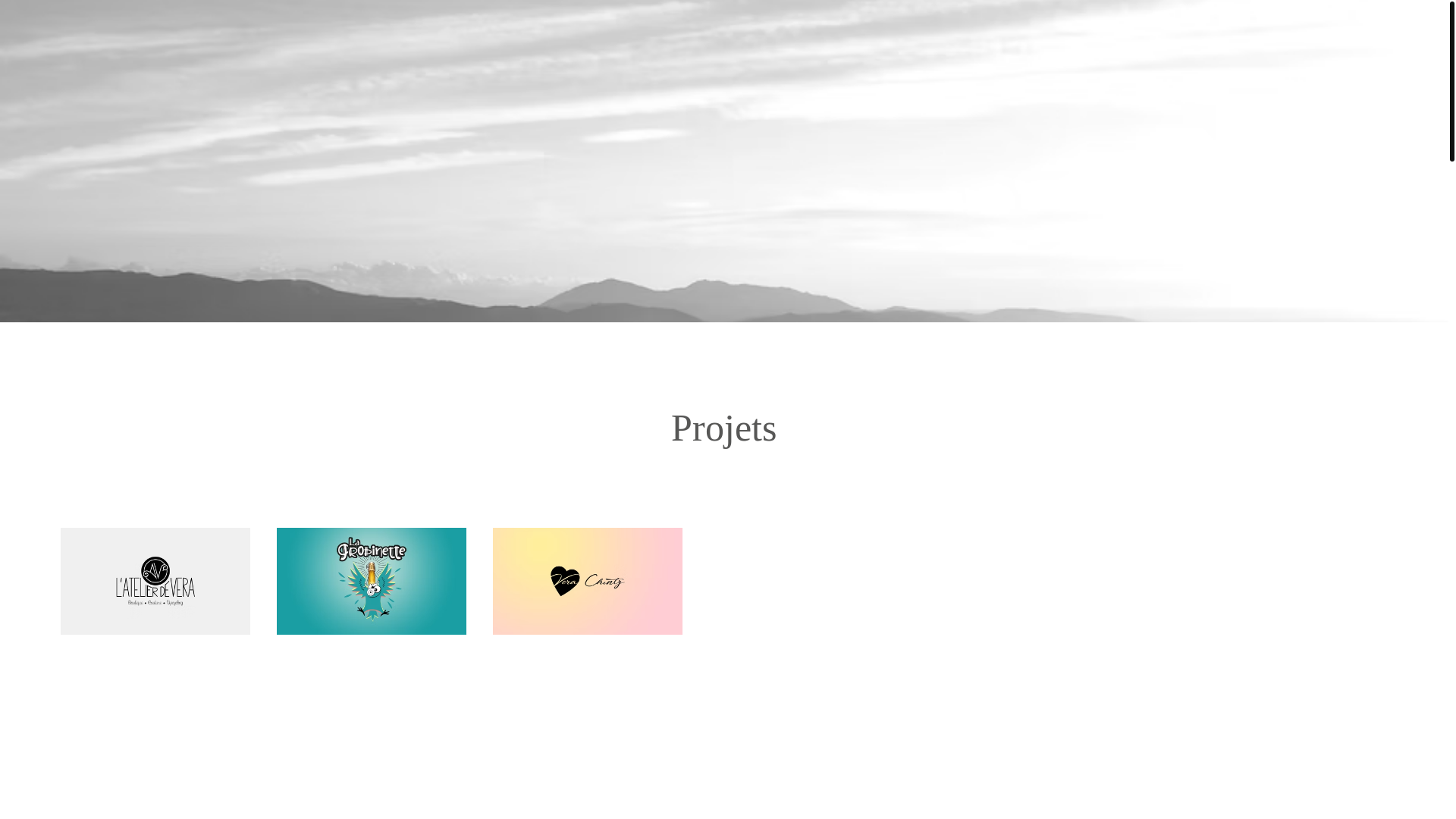 website screenshot of https://anniecoggia.com/