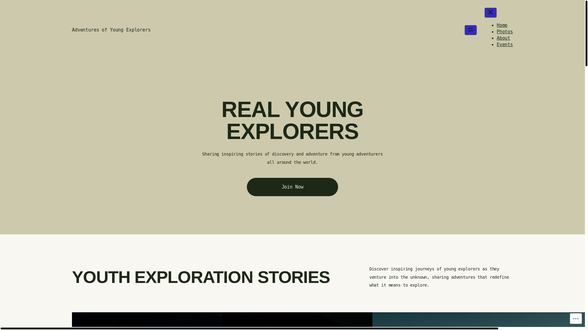 website screenshot of https://theyoungexplorer.co.uk/