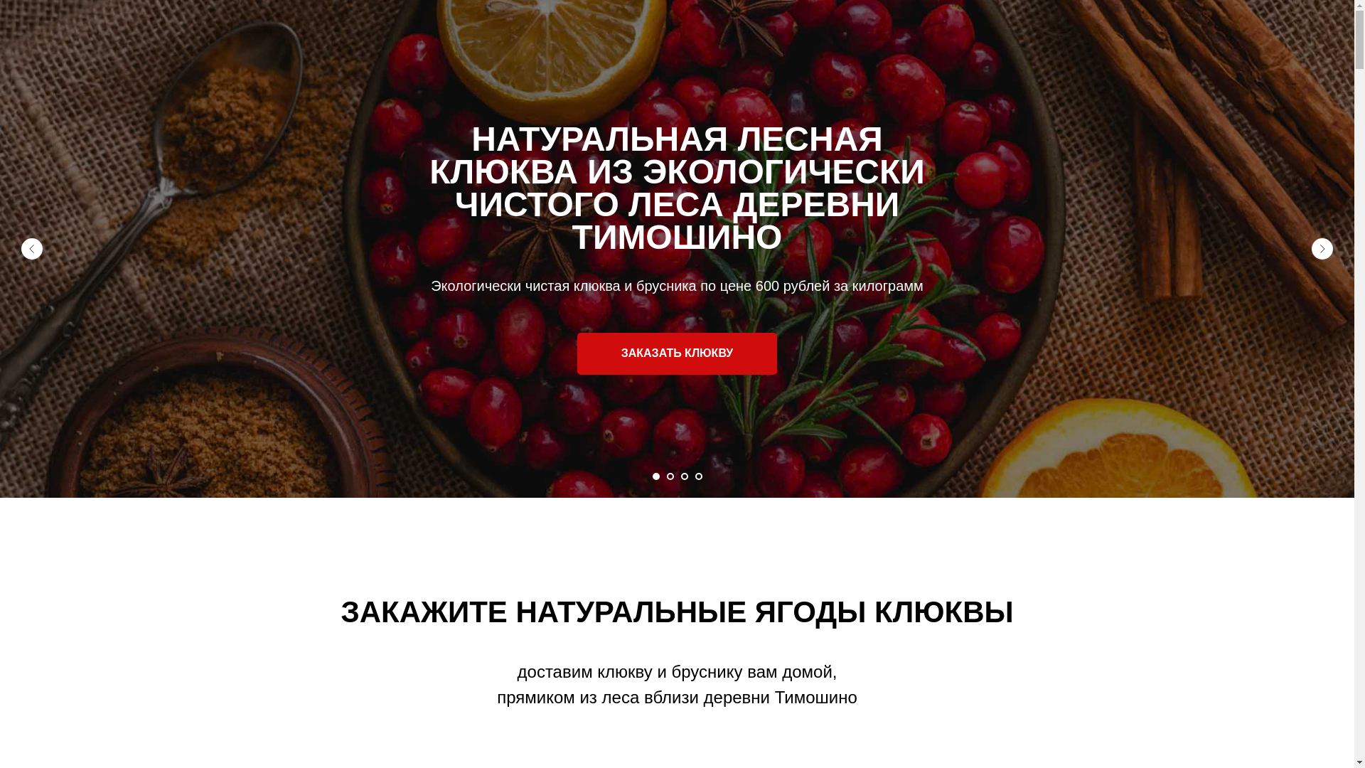 website screenshot of https://klukva-iz-lesa.ru/