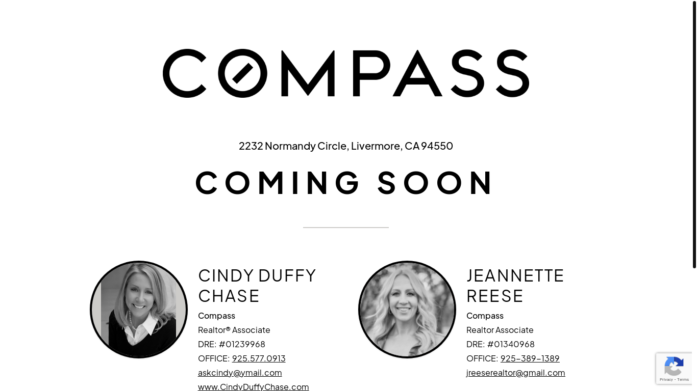 website screenshot of https://2232normandycircle.com/