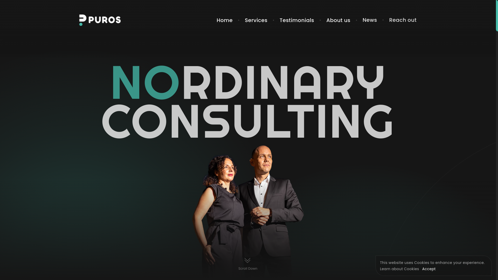 website screenshot of https://puros-erz.pages.dev/