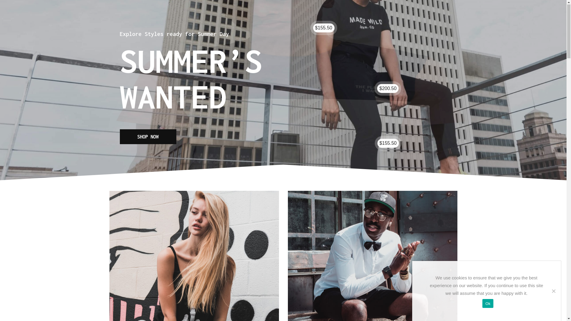 website screenshot of https://camisetolandia.com/