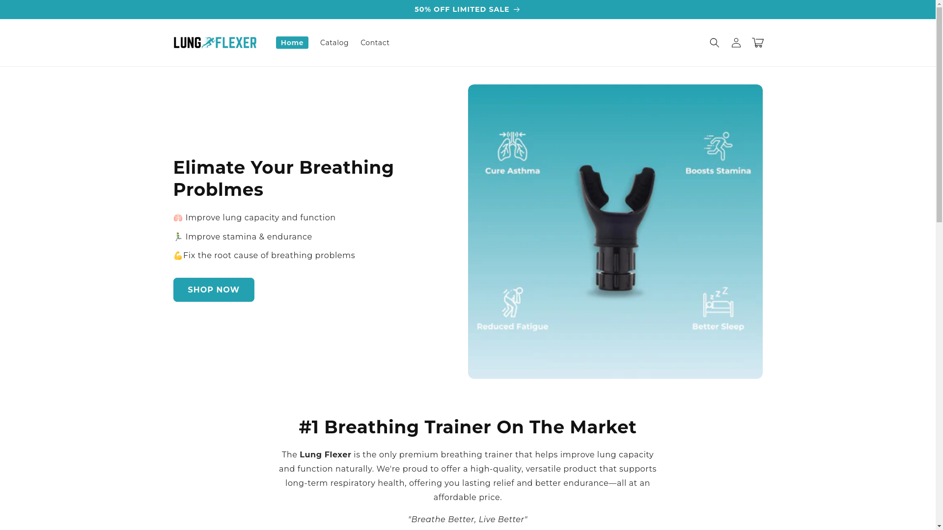 website screenshot of https://dyneem.store/