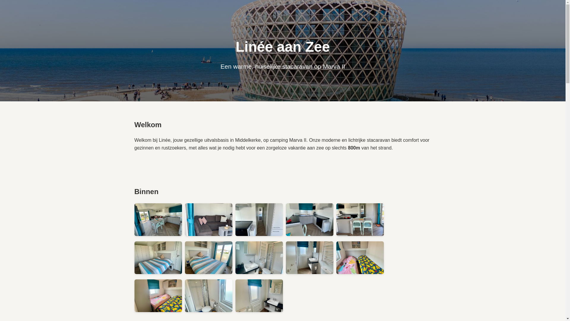 website screenshot of https://lineeaanzee.be/