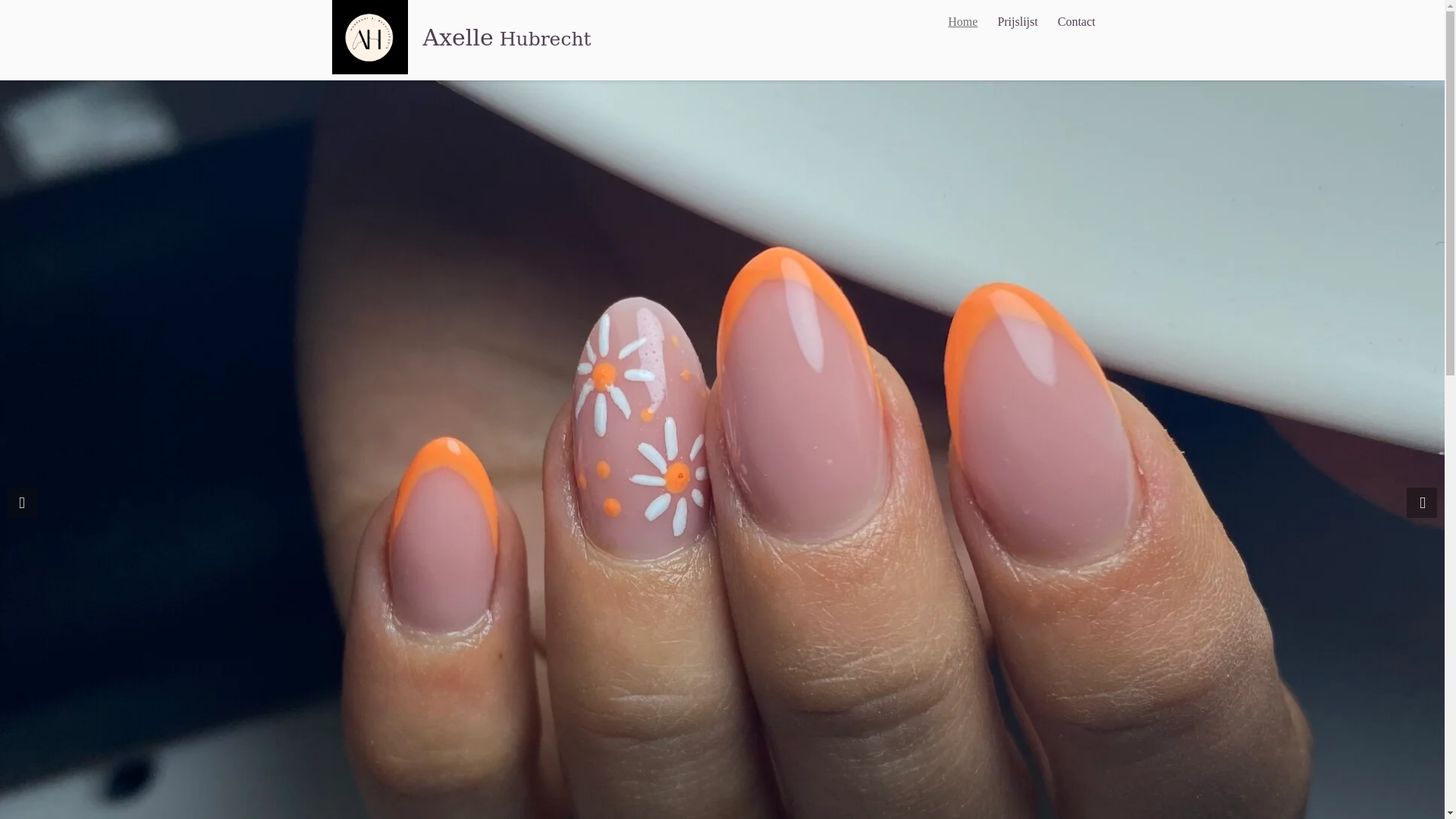 website screenshot of https://axellehubrecht.com/