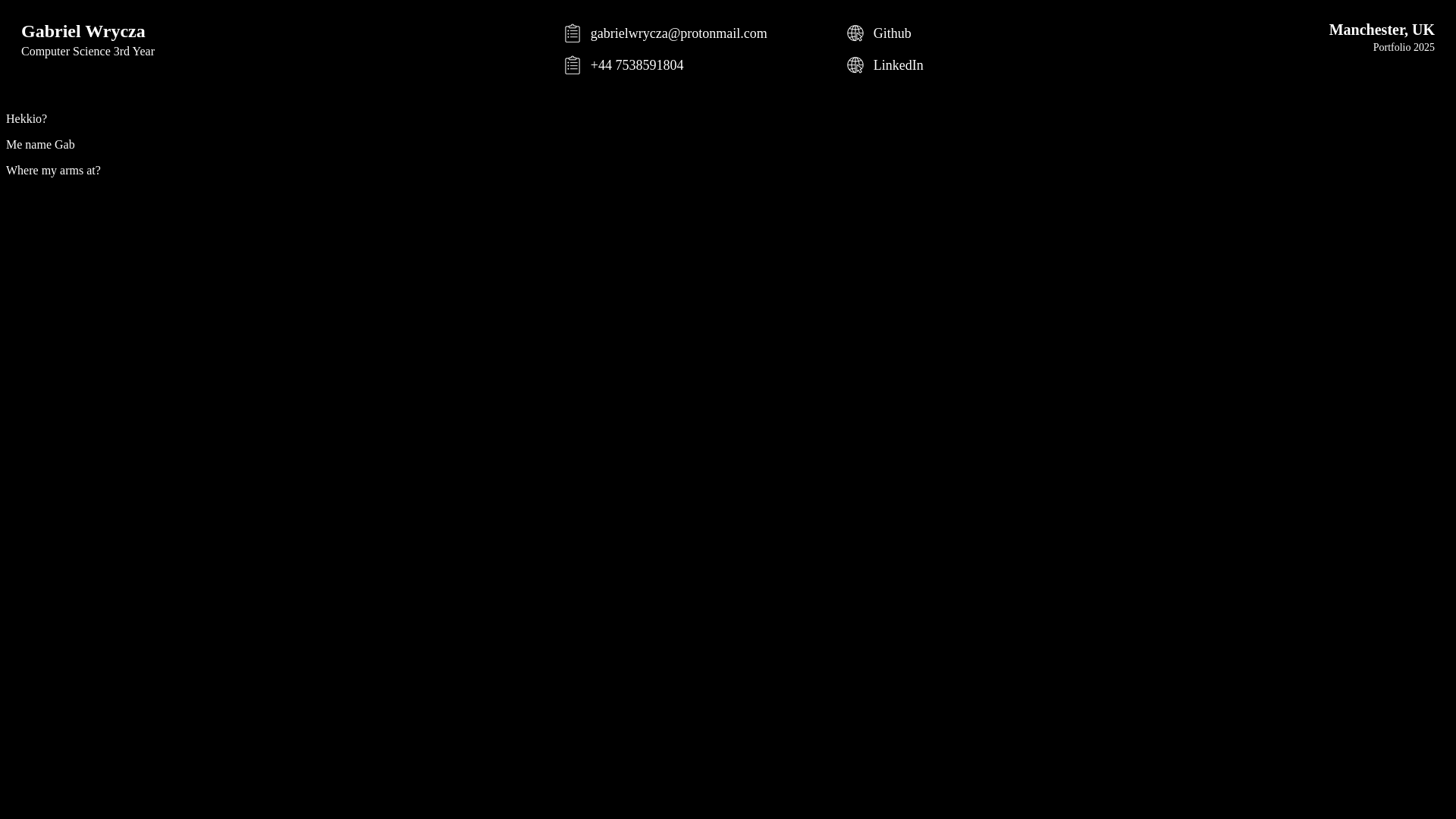 website screenshot of https://gabrielwrycza.dev/