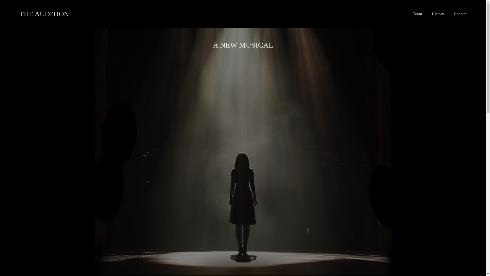 website screenshot of https://theauditionmusical.com/