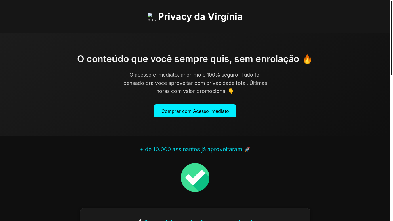 website screenshot of https://privacyvirginia.com.br/