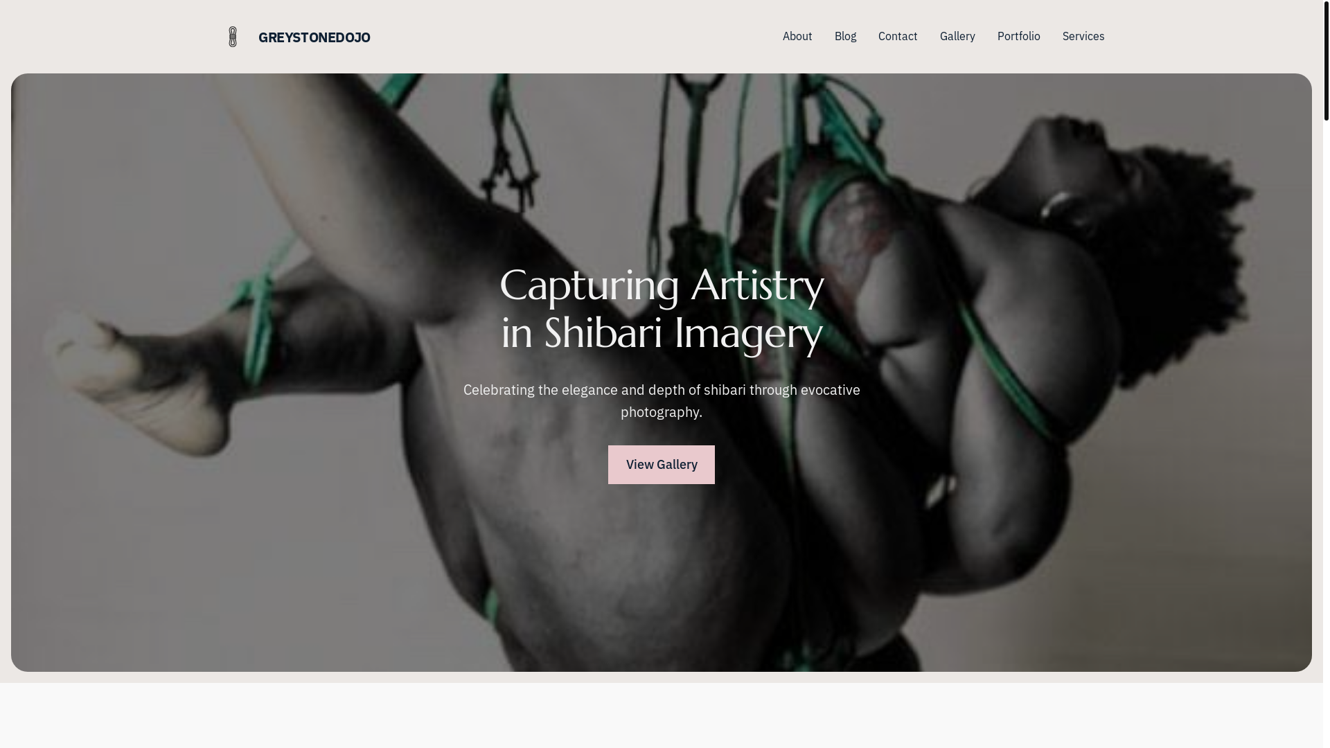 website screenshot of https://greystonedojo.com/