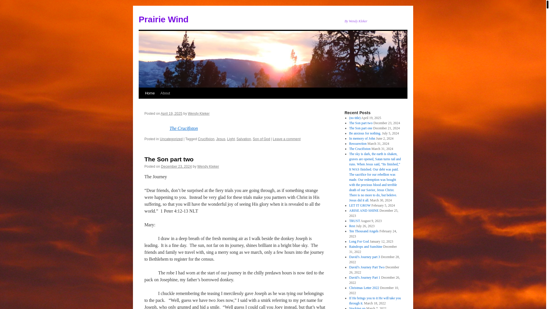 website screenshot of https://wendykleker.com/
