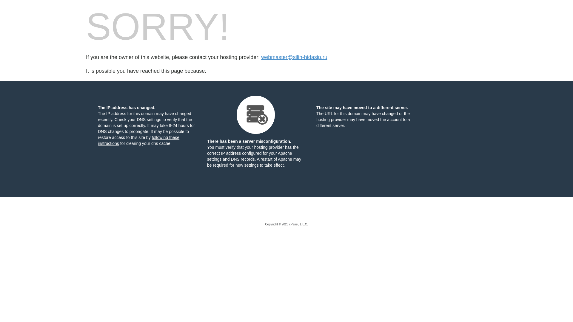 website screenshot of https://silin-hidasip.ru/
