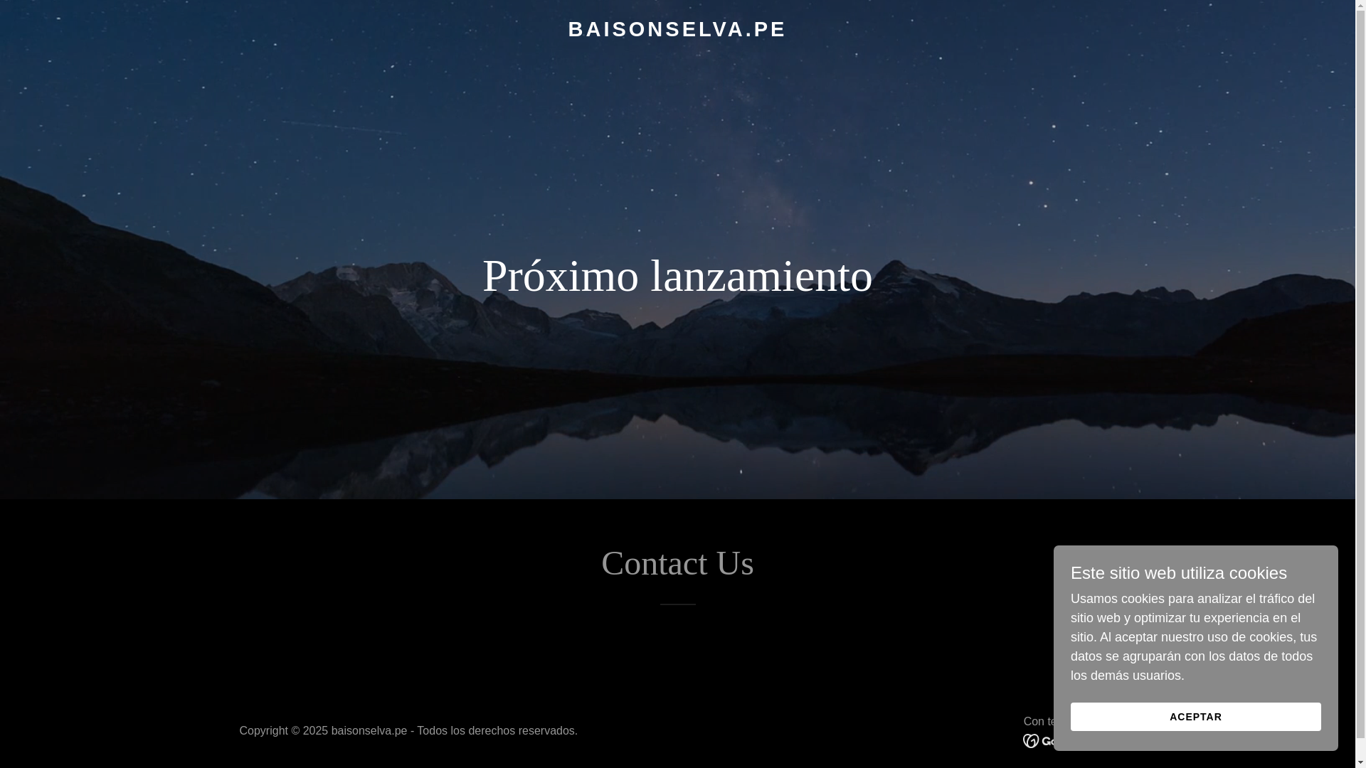website screenshot of https://baisonselva.pe/
