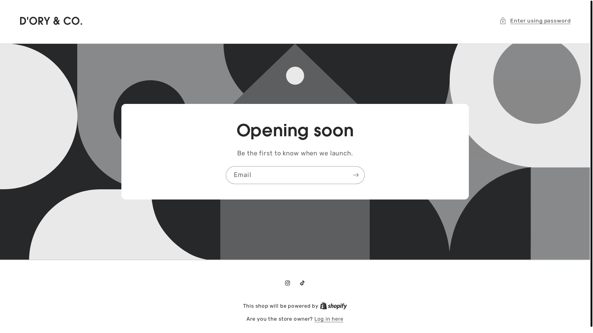 website screenshot of https://doryandco.store/