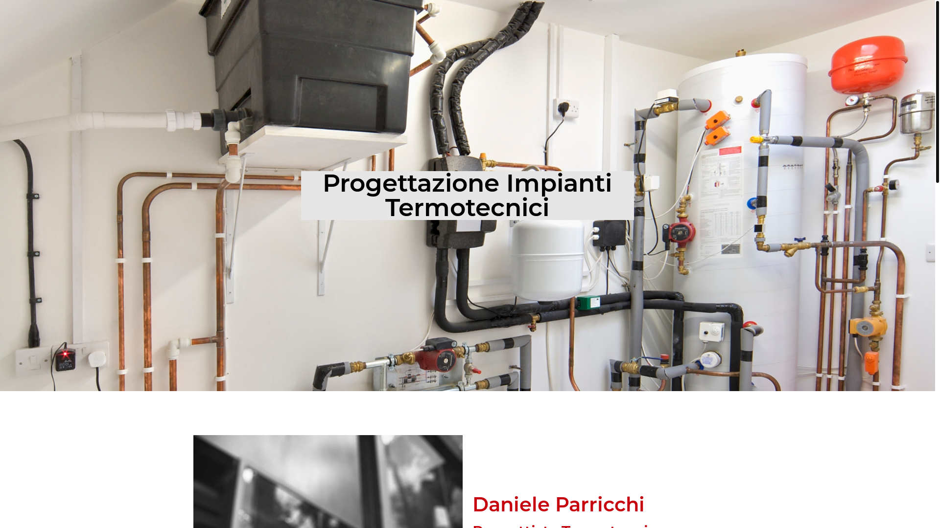 website screenshot of https://danieleparricchi.it/